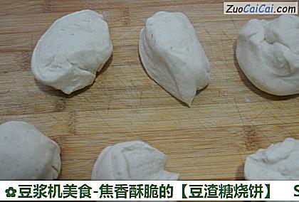豆浆机美食-焦香酥脆的做法第四步骤