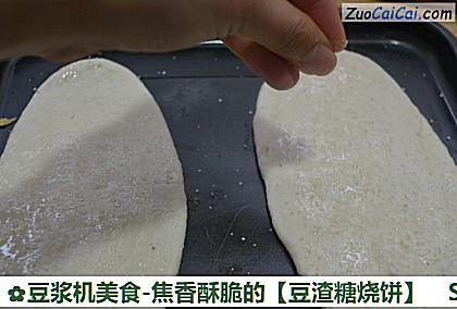 豆浆机美食-焦香酥脆的做法第八步骤