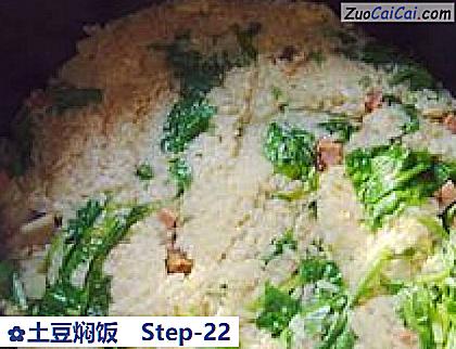 土豆焖饭做法第二十二步骤