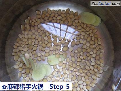 麻辣猪手火锅做法第五步骤