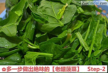 老醋菠菜做法第二步骤