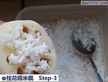 桂花糯米藕做法第三步骤