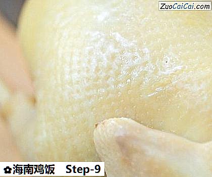 海南鸡饭做法第九步骤