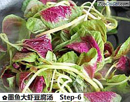 墨鱼大虾豆腐汤做法第六步骤