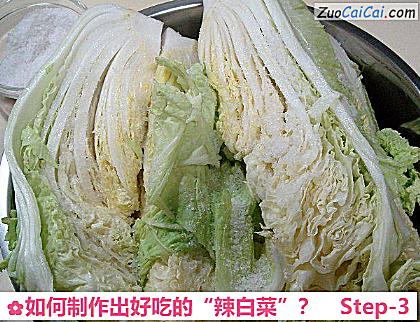 如何制作出好吃的“辣白菜”？做法第三步骤