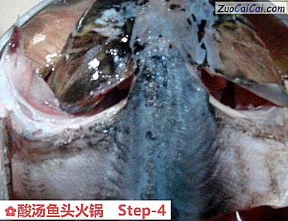 酸汤鱼头火锅做法第四步骤