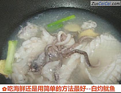 白灼鱿鱼做法第七步骤