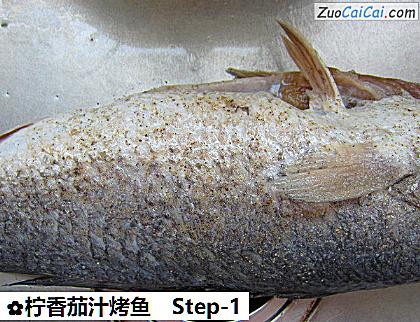 柠香茄汁烤鱼做法第一步骤