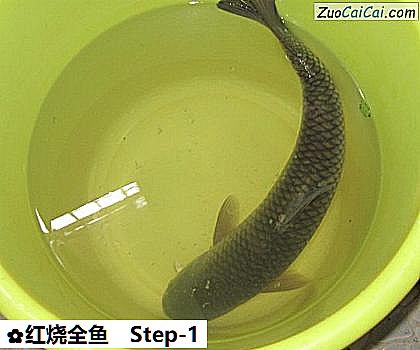 红烧全鱼做法第一步骤