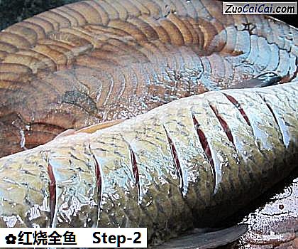 红烧全鱼做法第二步骤