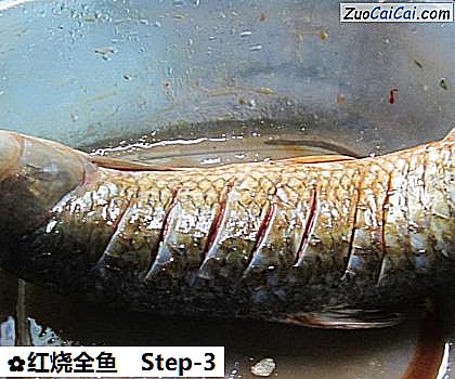 红烧全鱼做法第三步骤