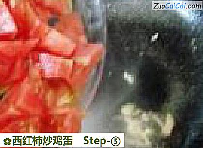 西红柿炒鸡蛋做法第五步骤