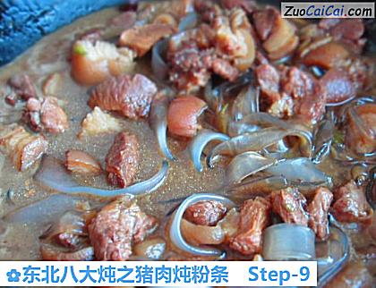东北八大炖之猪肉炖粉条做法第九步骤