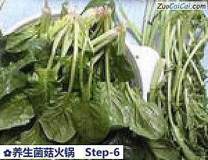 养生菌菇火锅做法第六步骤