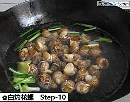 白灼花螺做法第十步骤