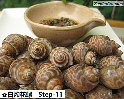 白灼花螺做法第十一步骤