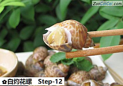 白灼花螺成品图1