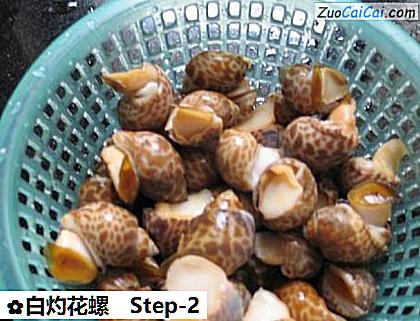 白灼花螺做法第二步骤