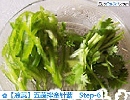 五蔬拌金针菇做法第六步骤