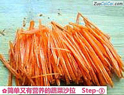 简单又有营养的蔬菜沙拉做法第三步骤