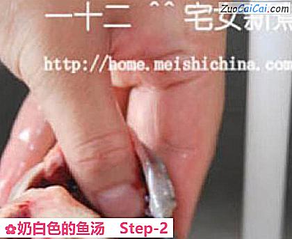 奶白色的鱼汤做法第二步骤