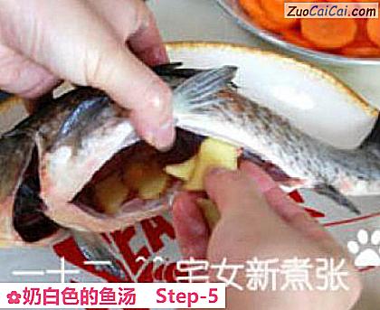 奶白色的鱼汤做法第五步骤