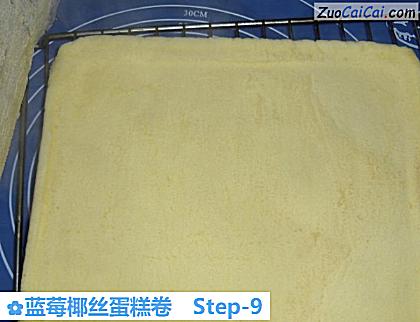 蓝莓椰丝蛋糕卷做法第九步骤