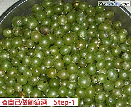自己做葡萄酒做法第一步骤
