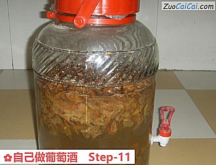 自己做葡萄酒做法第十一步骤