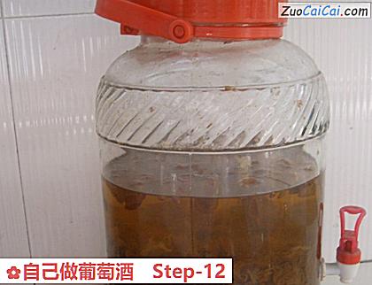 自己做葡萄酒做法第十二步骤
