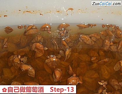 自己做葡萄酒做法第十三步骤