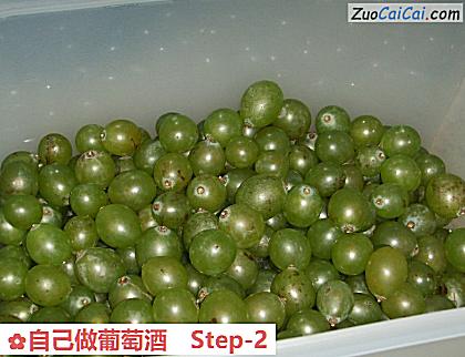 自己做葡萄酒做法第二步骤