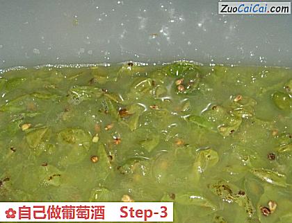 自己做葡萄酒做法第三步骤