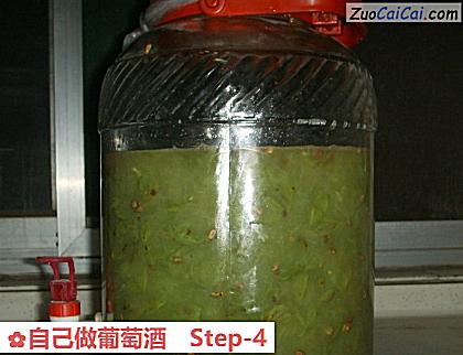 自己做葡萄酒做法第四步骤
