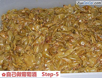 自己做葡萄酒做法第五步骤