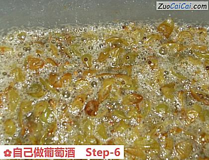 自己做葡萄酒做法第六步骤