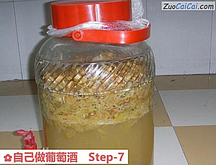 自己做葡萄酒做法第七步骤