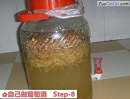自己做葡萄酒做法第八步骤