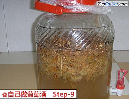 自己做葡萄酒做法第九步骤