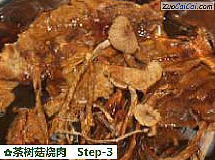 茶树菇烧肉做法第三步骤