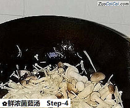 鲜浓菌茹汤做法第四步骤