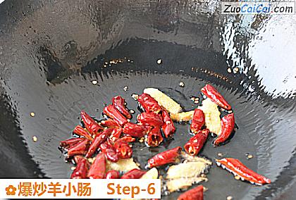 爆炒羊小肠做法第六步骤