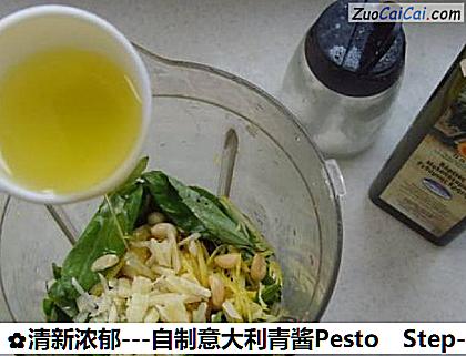 清新浓郁-自制意大利青酱Pesto做法第三步骤