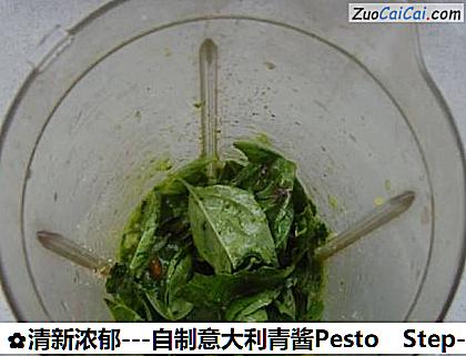 清新浓郁-自制意大利青酱Pesto做法第四步骤