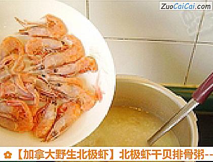 加拿大野生北极虾做法第十三步骤