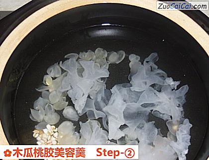 木瓜桃胶美容羹做法第二步骤