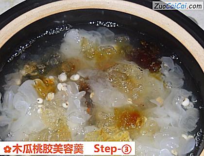 木瓜桃胶美容羹做法第三步骤
