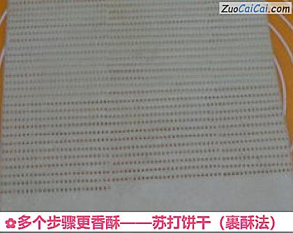 苏打饼干做法第九步骤