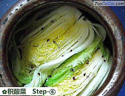 积酸菜做法第六步骤