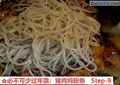 必不可少过年菜：猪肉炖粉条做法第九步骤
